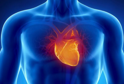 Почему от сердца отрывается тромб