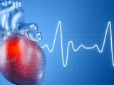 Предрасположенность к инфаркту миокарда можно определить по характеру