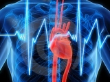 Двенадцать симптомов заболеваний сердца