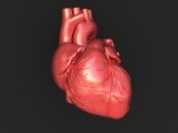 Разработки в области кардиографии