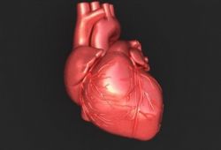 Разработки в области кардиографии
