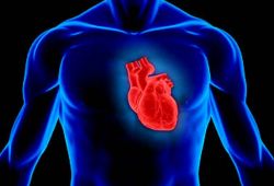 Госпрограмма позволила уменьшить число случаев смерти после инфаркта