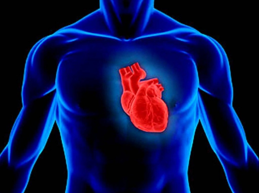 Госпрограмма позволила уменьшить число случаев смерти после инфаркта 